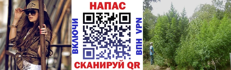 магазин  наркотиков  Нерехта  Бошки марихуана LSD WEED 